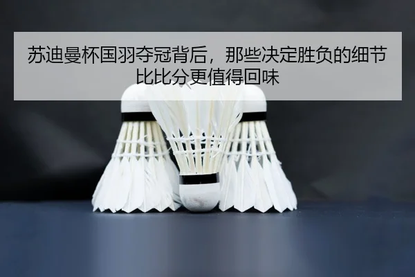 su-di-man-bei-guo-yu-duo-guan-bei-hou-na-xie-jue-ding-sheng-fu-de-xi-jie-bi-bi-fen-geng-zhi-de-hui-wei-3-491.jpg