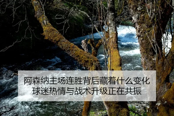 阿森纳主场连胜背后藏着什么变化 球迷热情与战术升级正在共振