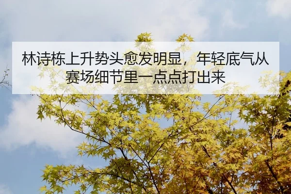 林诗栋上升势头愈发明显，年轻底气从赛场细节里一点点打出来