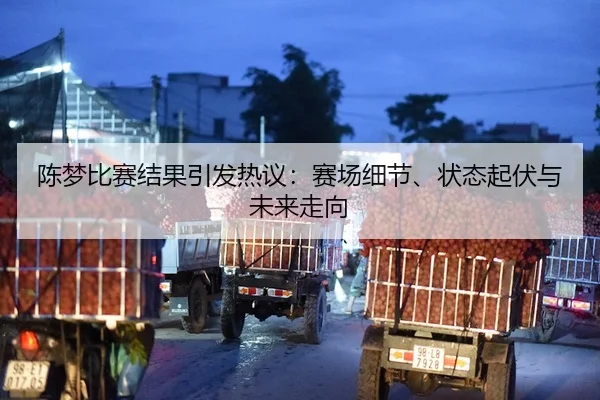 陈梦比赛结果引发热议：赛场细节、状态起伏与未来走向